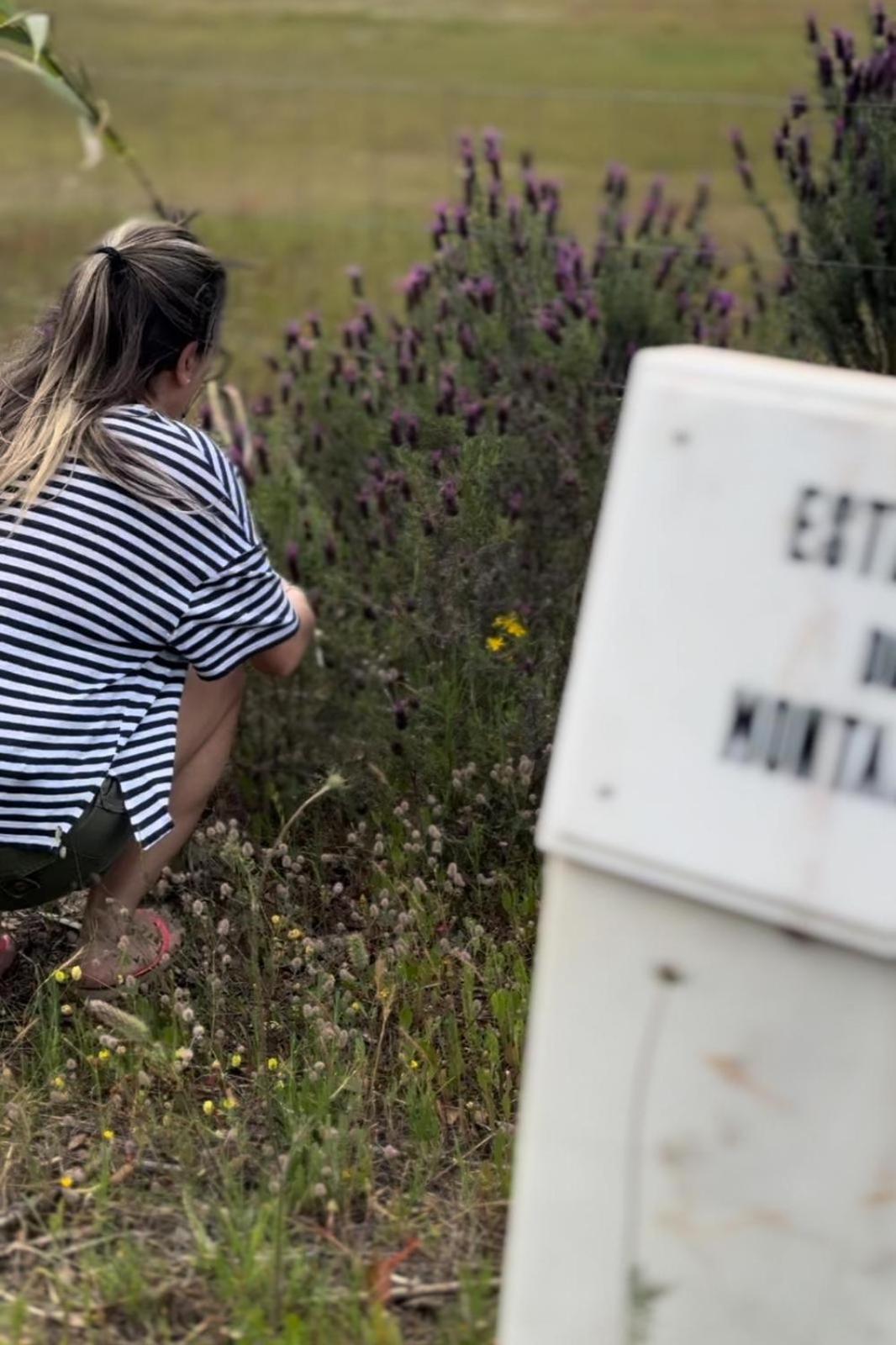 Monte Santo Villa Montargil Eksteriør bilde